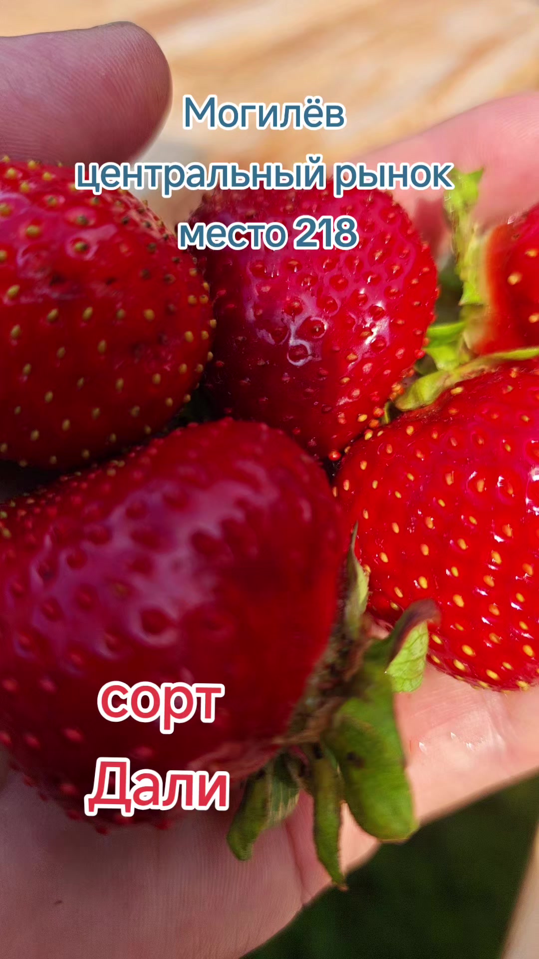 @Картофель Могилёв