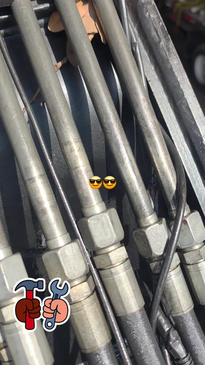 @alex tazmania
