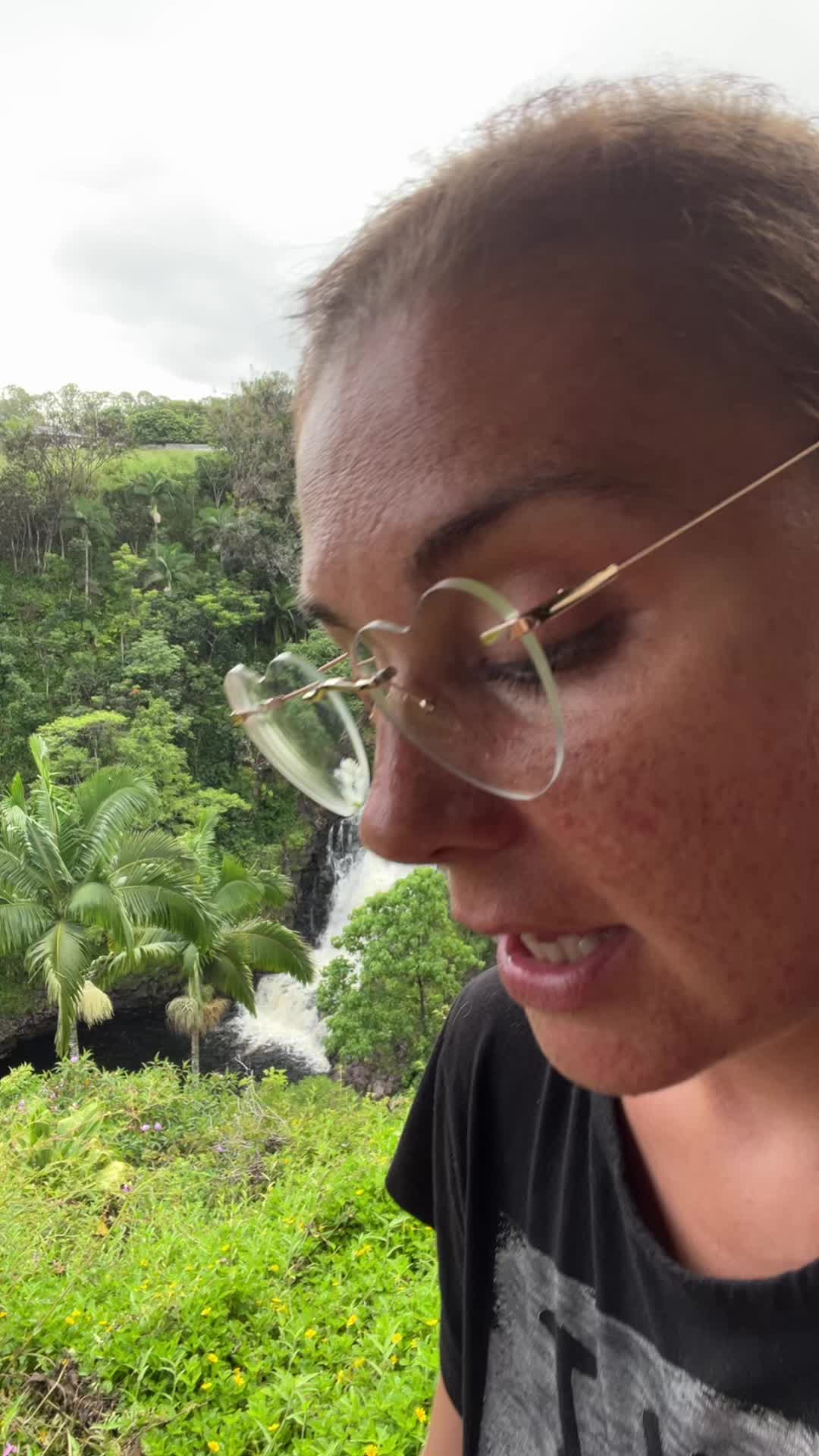 @junglefairyfarm