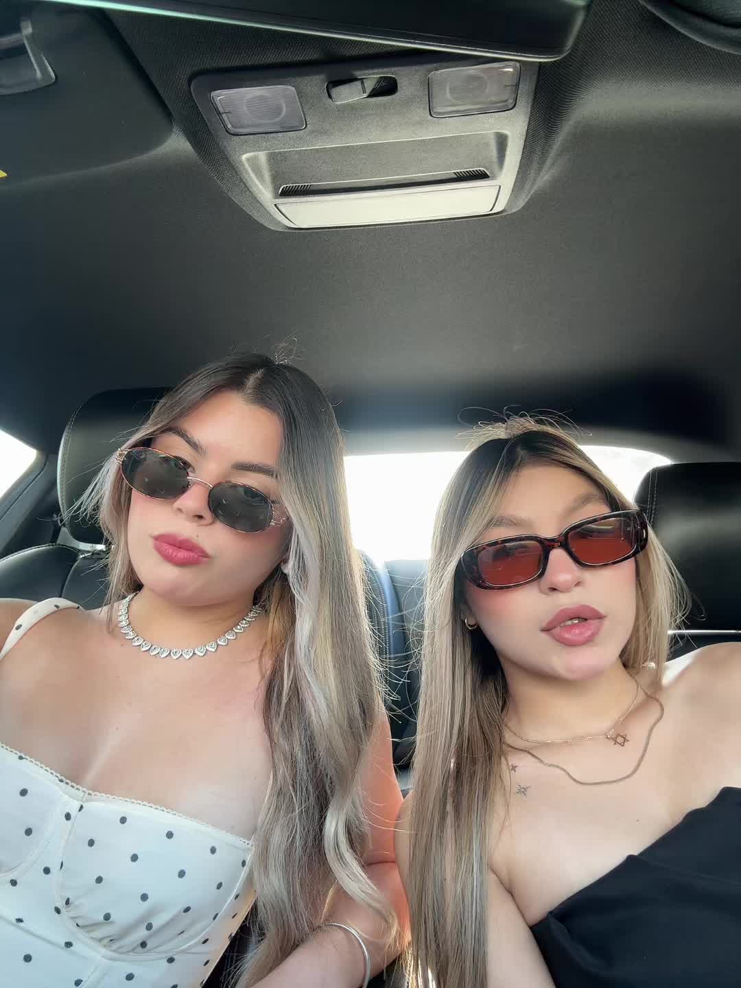 @Sofi🐈&zwj;⬛