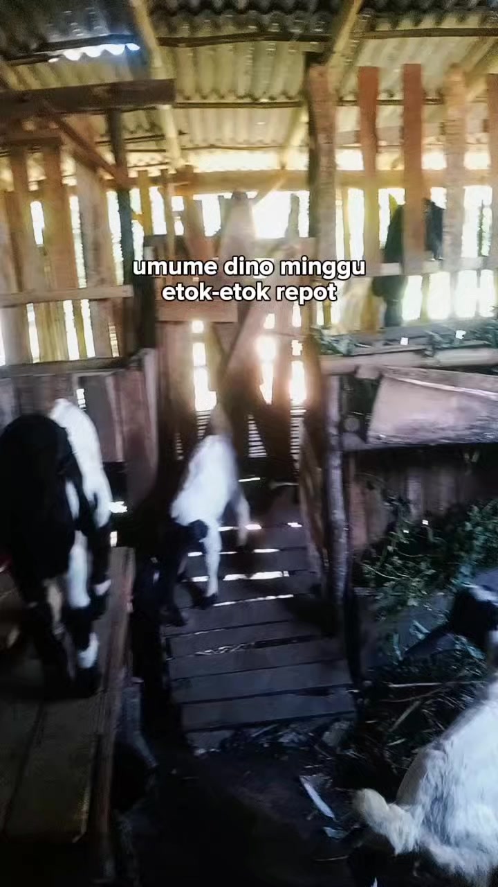 @Richodwi