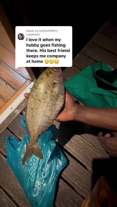 @Bite Time SA
