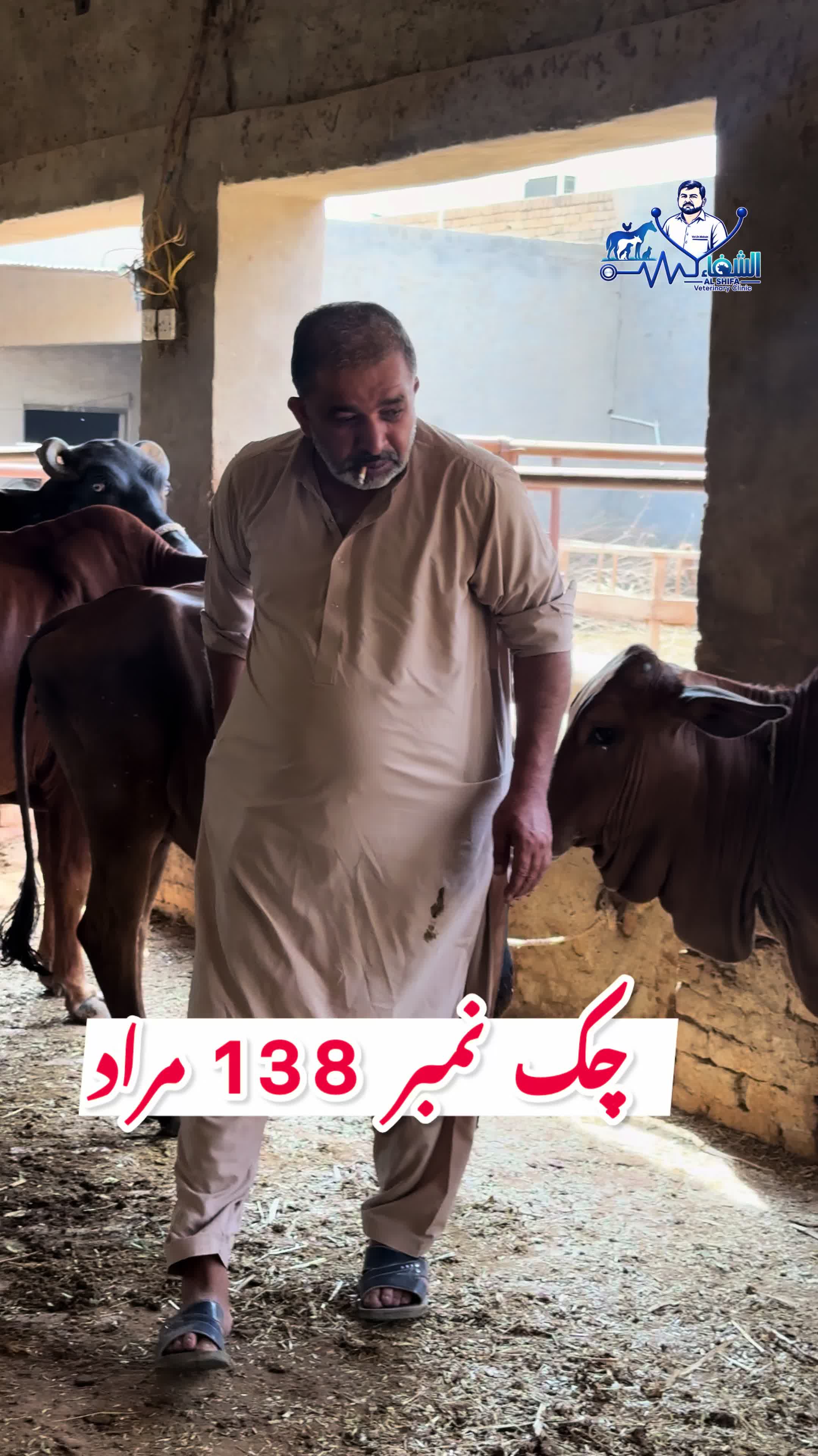 @Dr.Mohsin