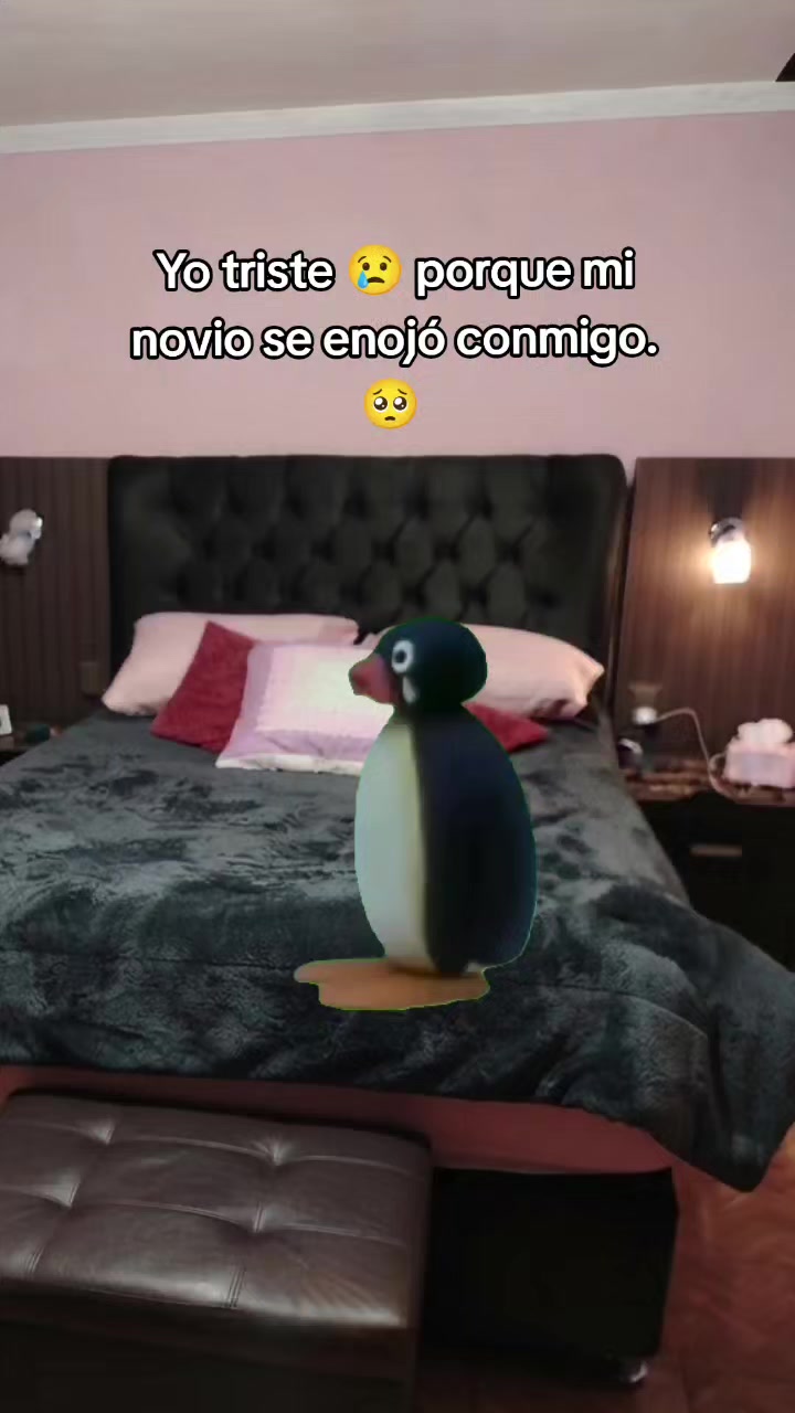@Nicole Nieto Acarapi