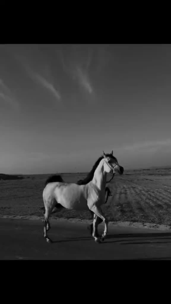 @ADNAN SOLANGI
