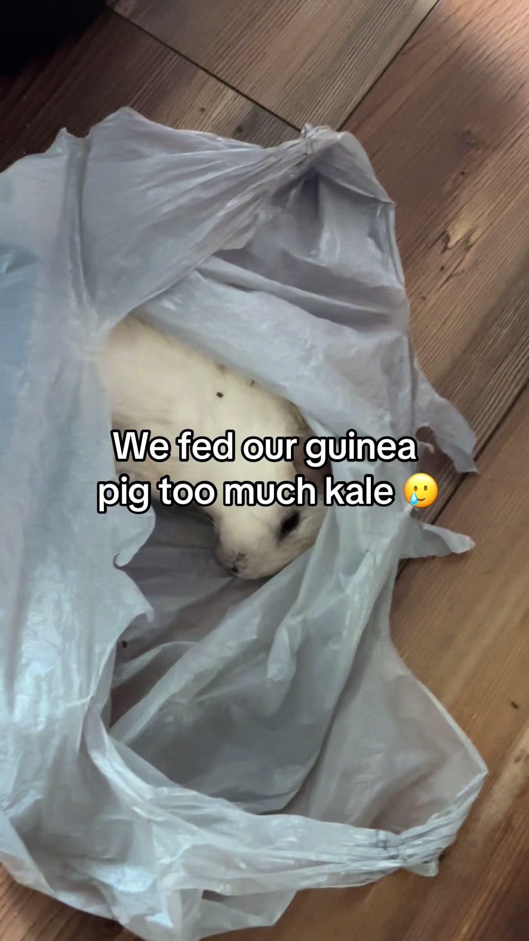 @jenn ๐