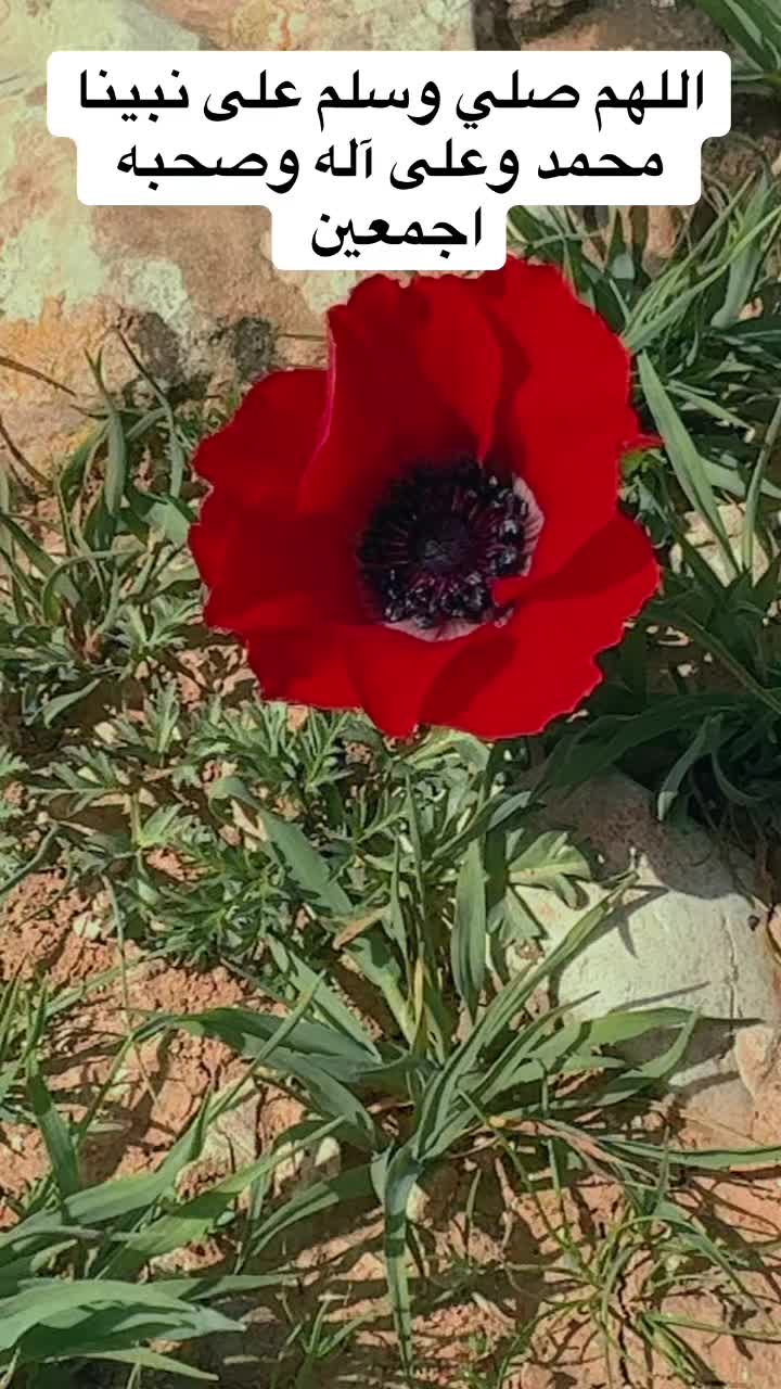 @ابوعبدالله