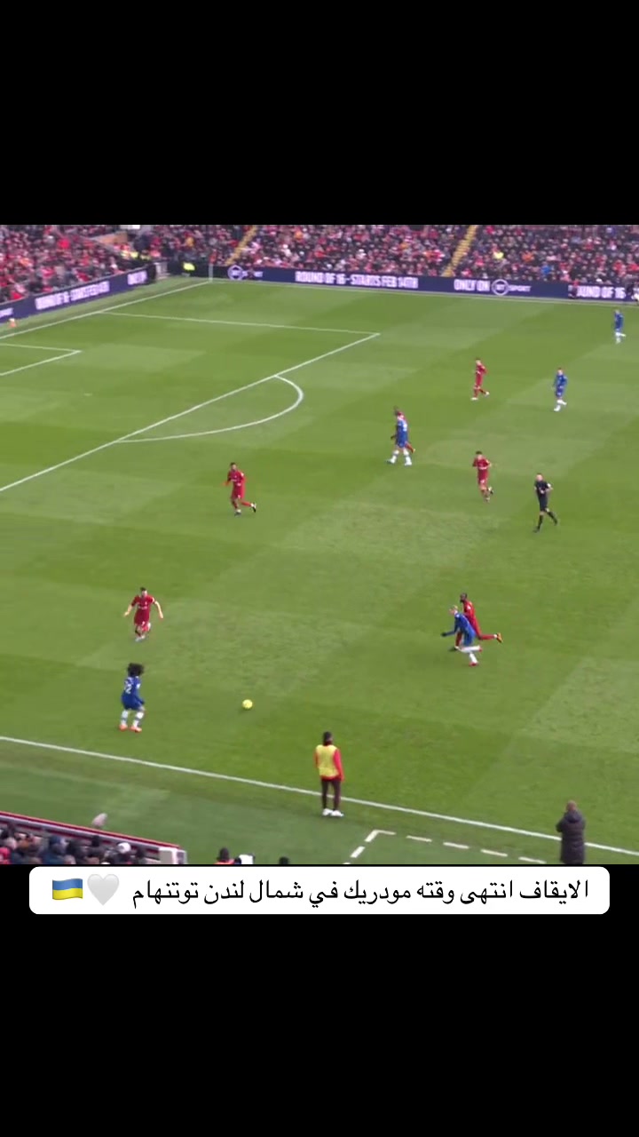 @مصطفى توتنهام Spurs 🤍