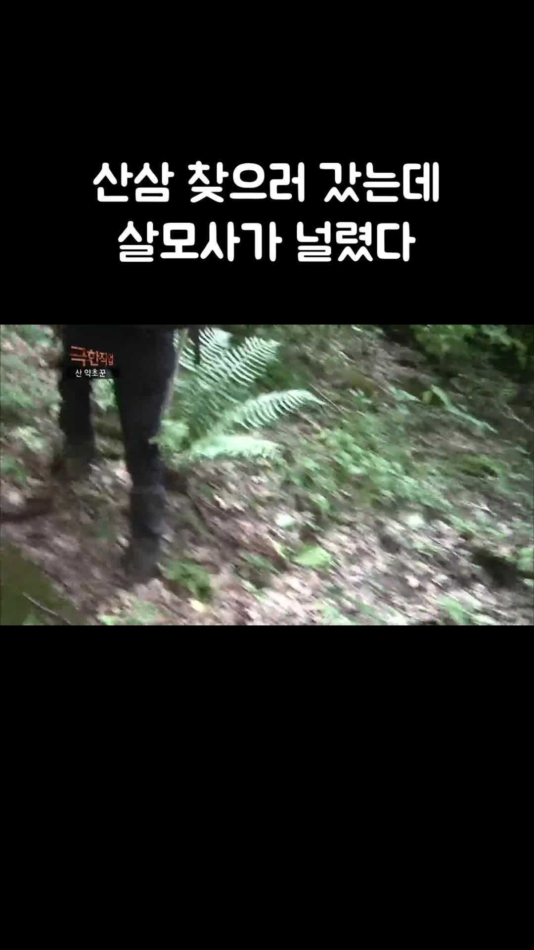 @EBS 다큐