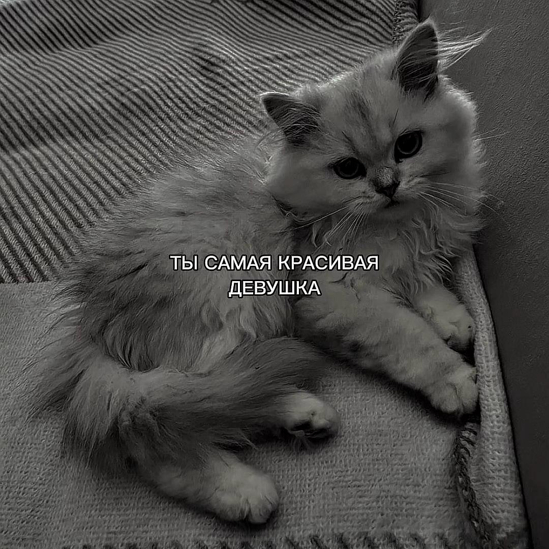 @ХХИКА