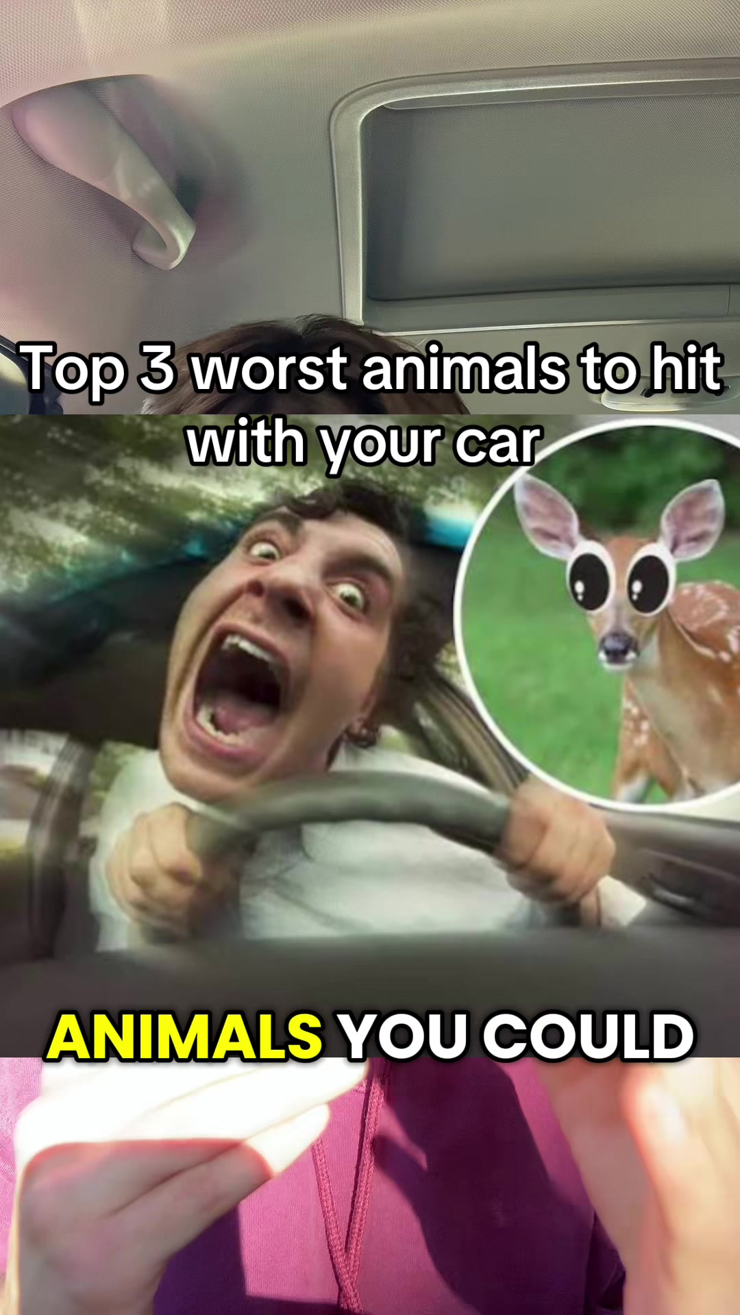 @Jesse