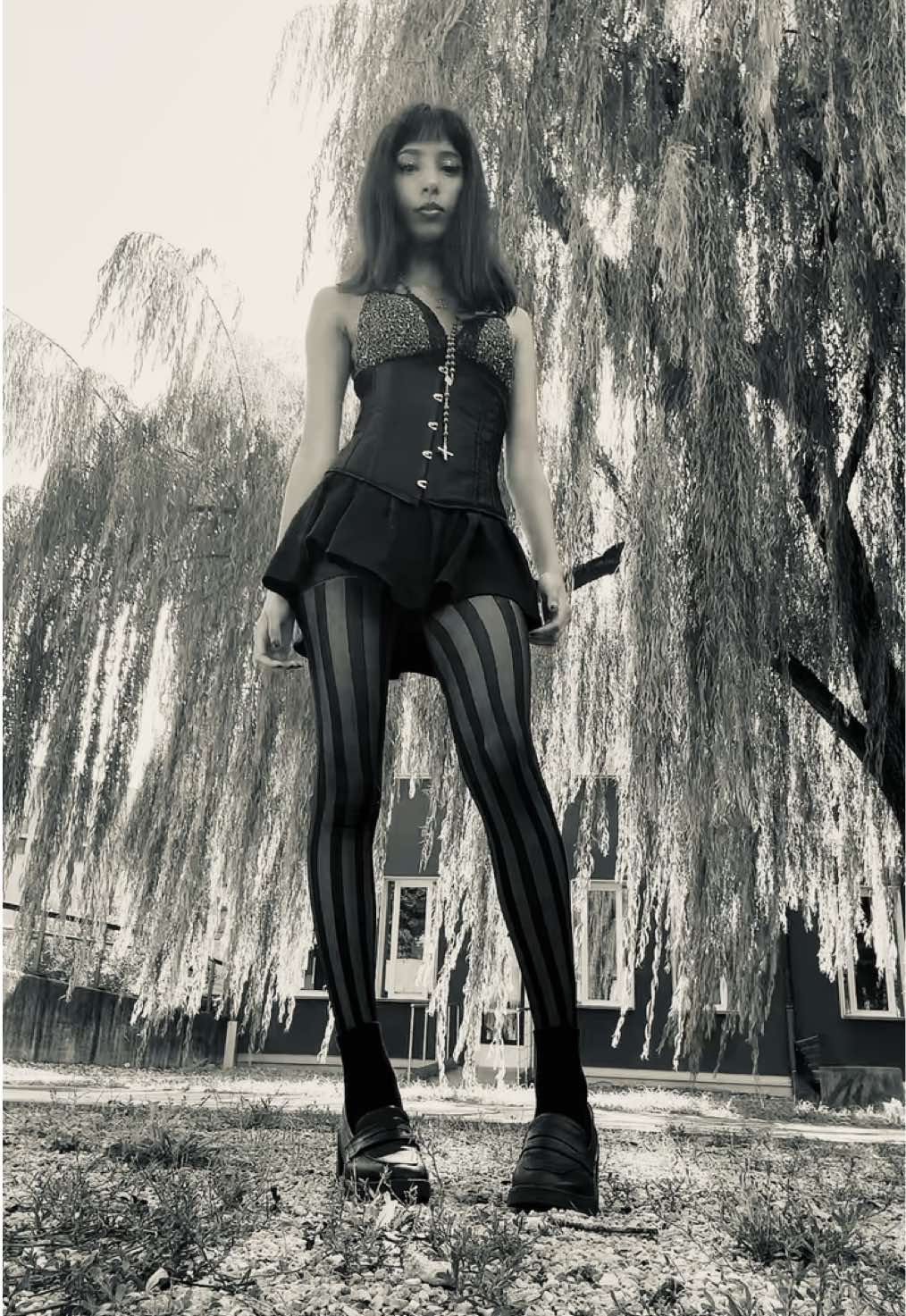 @🦇 ✧ ⋆ ☾ ✧ ⋆ 🪷