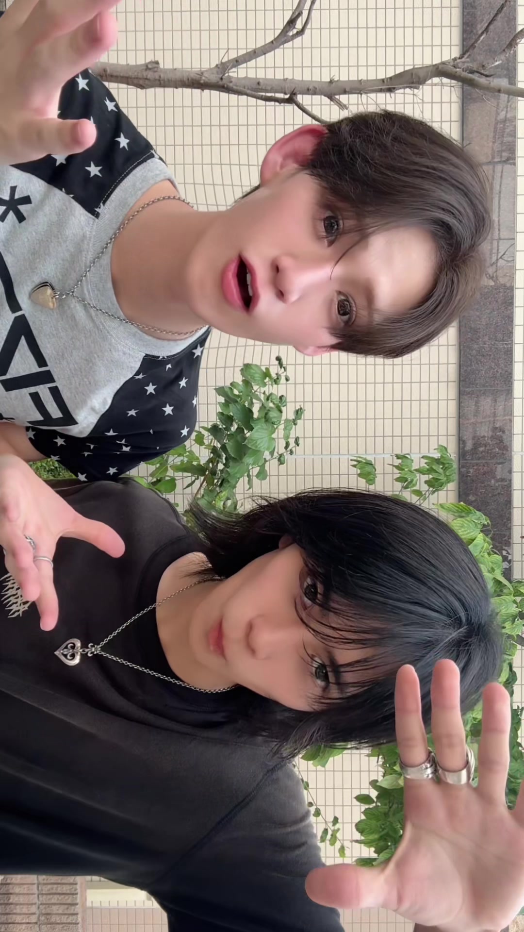 @松井芹(まついせり)