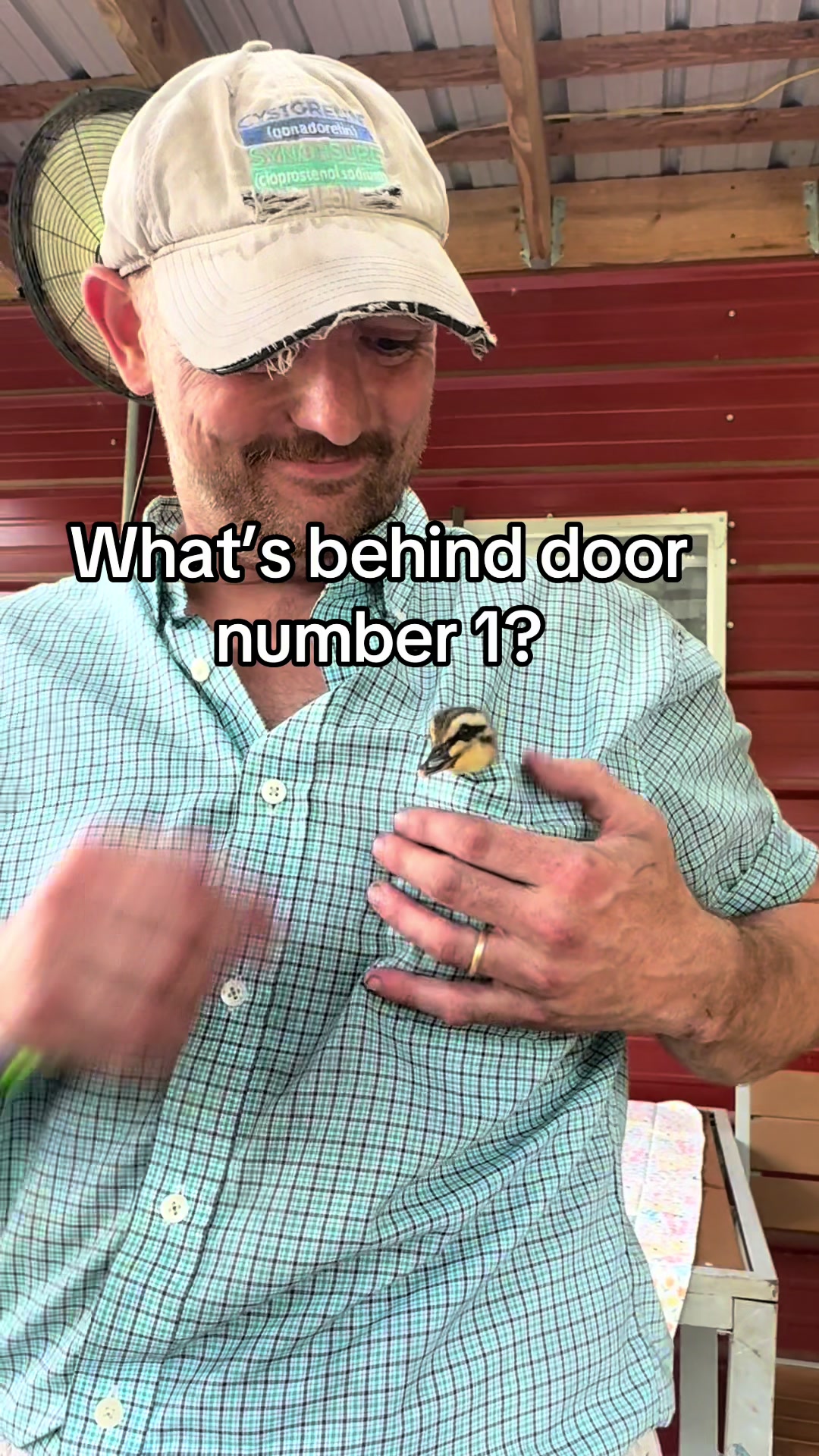 @treybvet