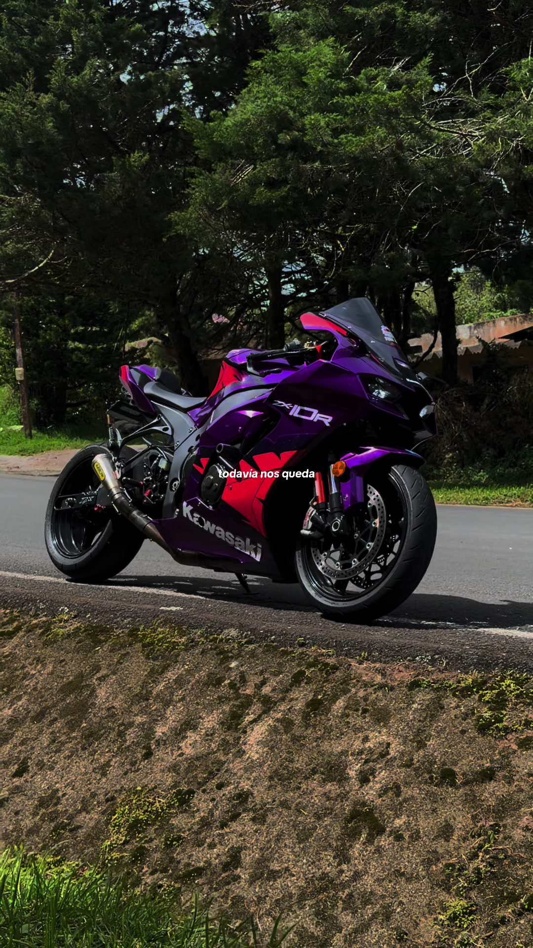 @Harley Zeledon 23