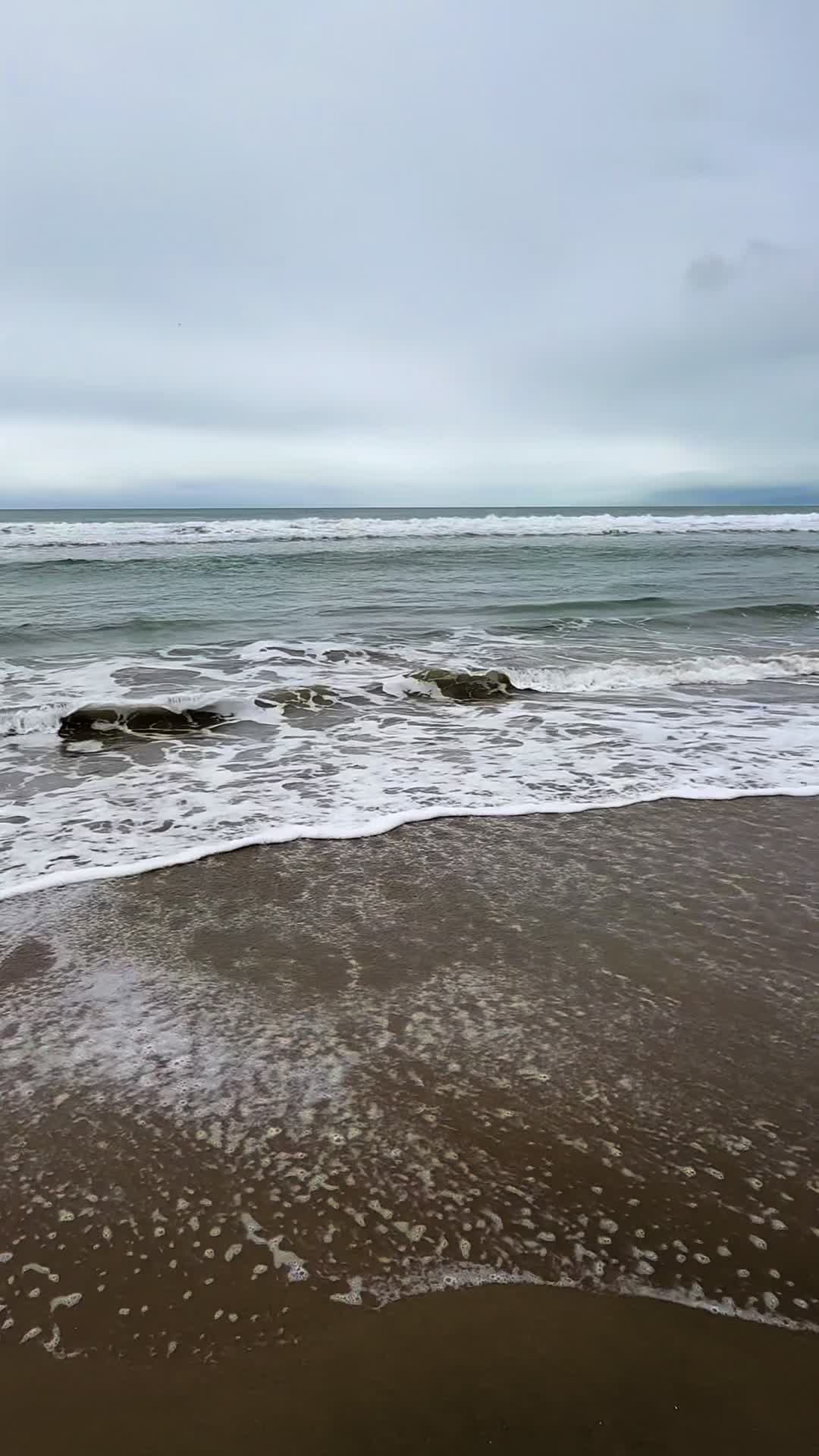 @santoscoronado415