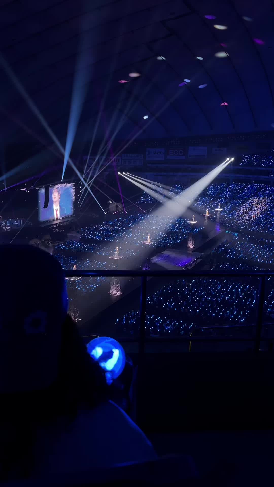 @멍멍