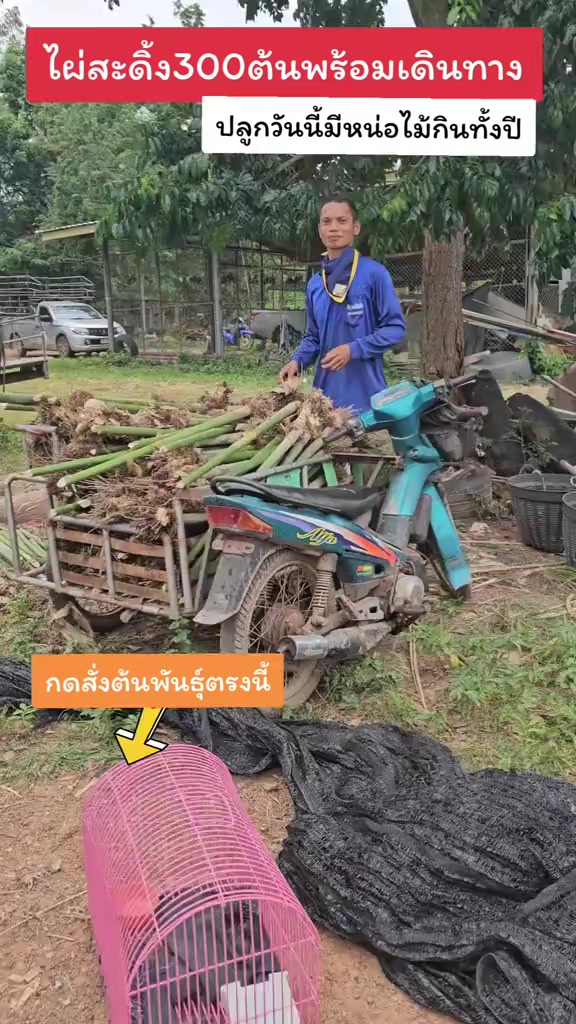 @นัดดาชอป