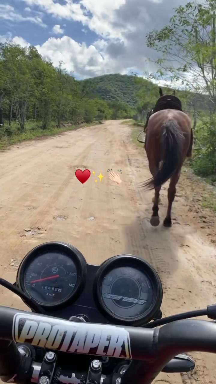 @João Carlos