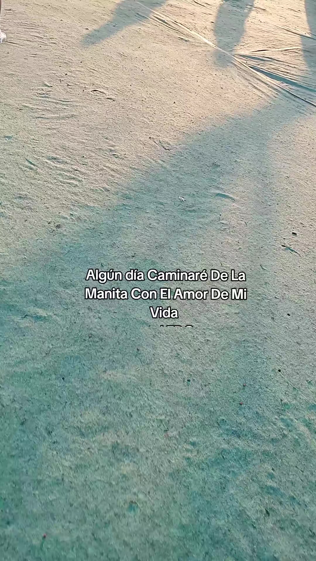 @DELFIS