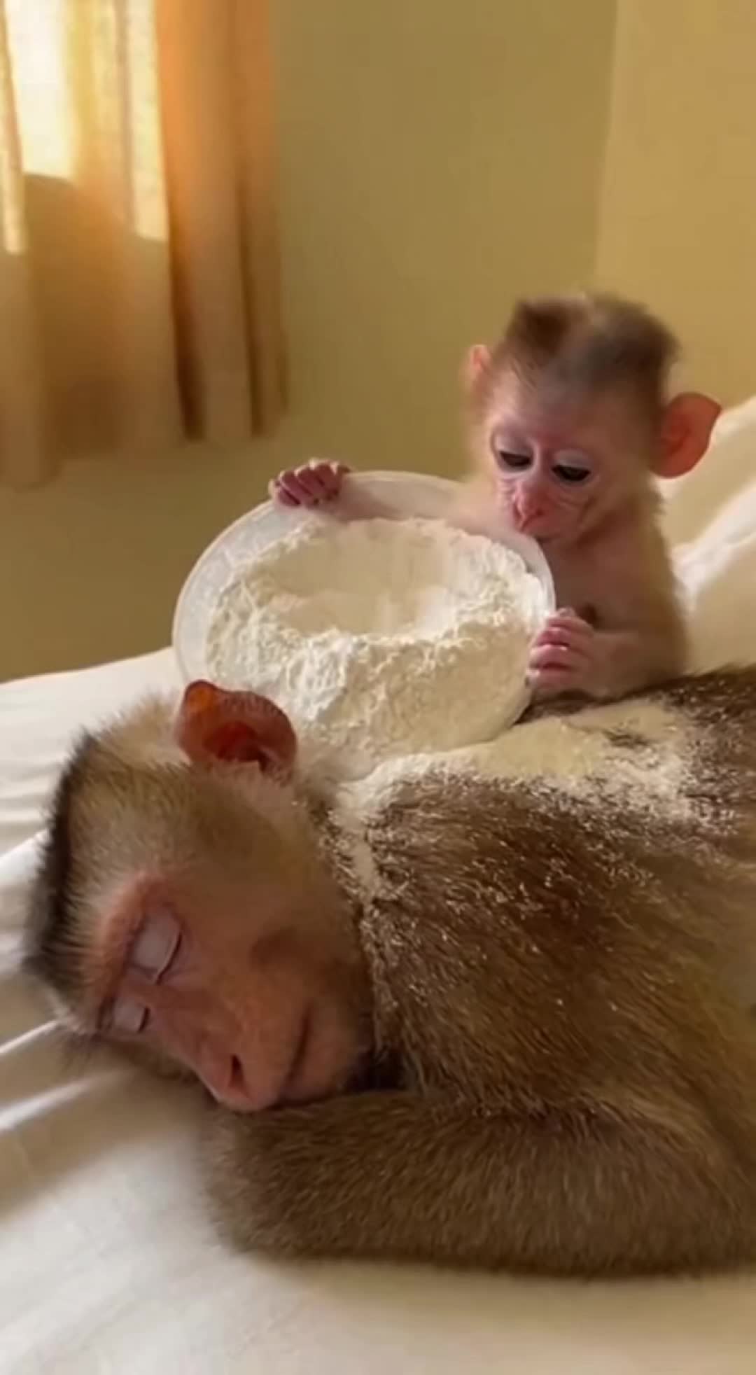 @monkeyfuntime