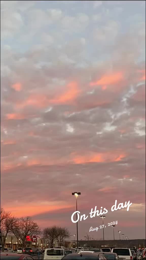 @warriorgirl_Traci 72