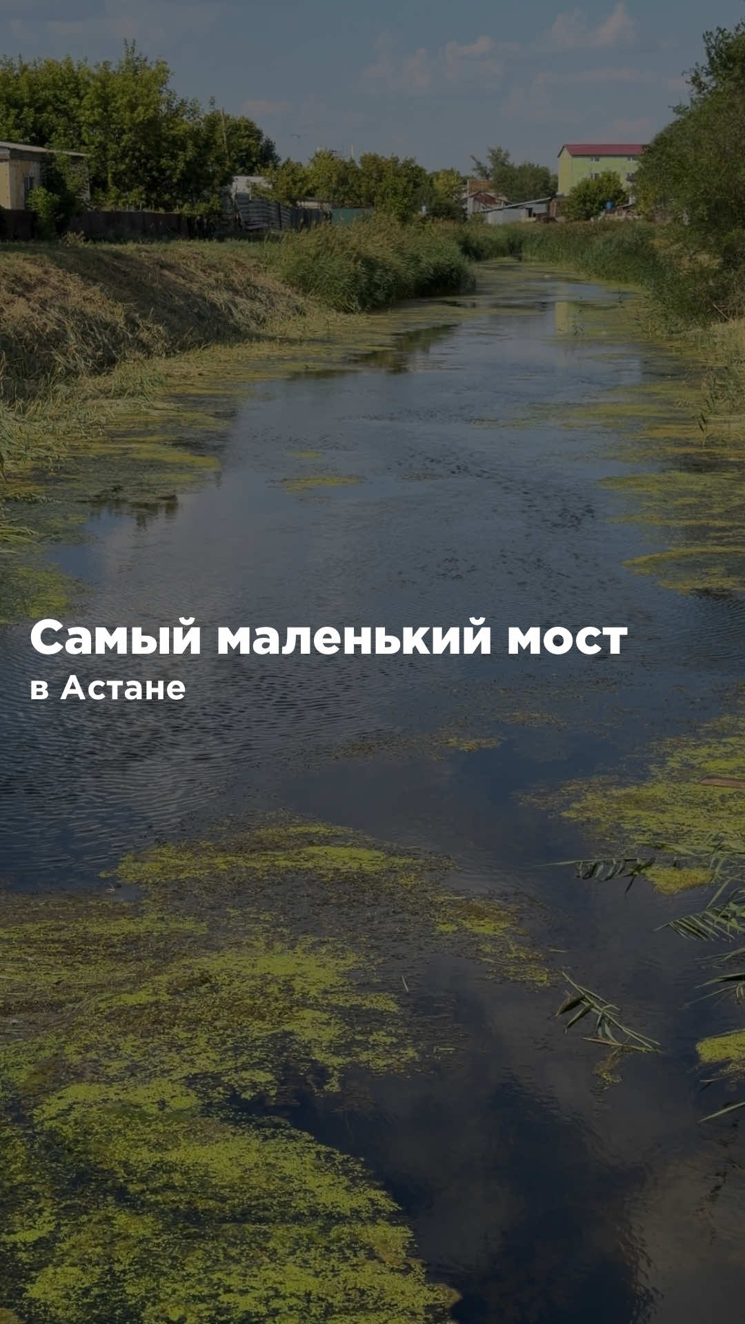 @Nursultan Kamzebayev