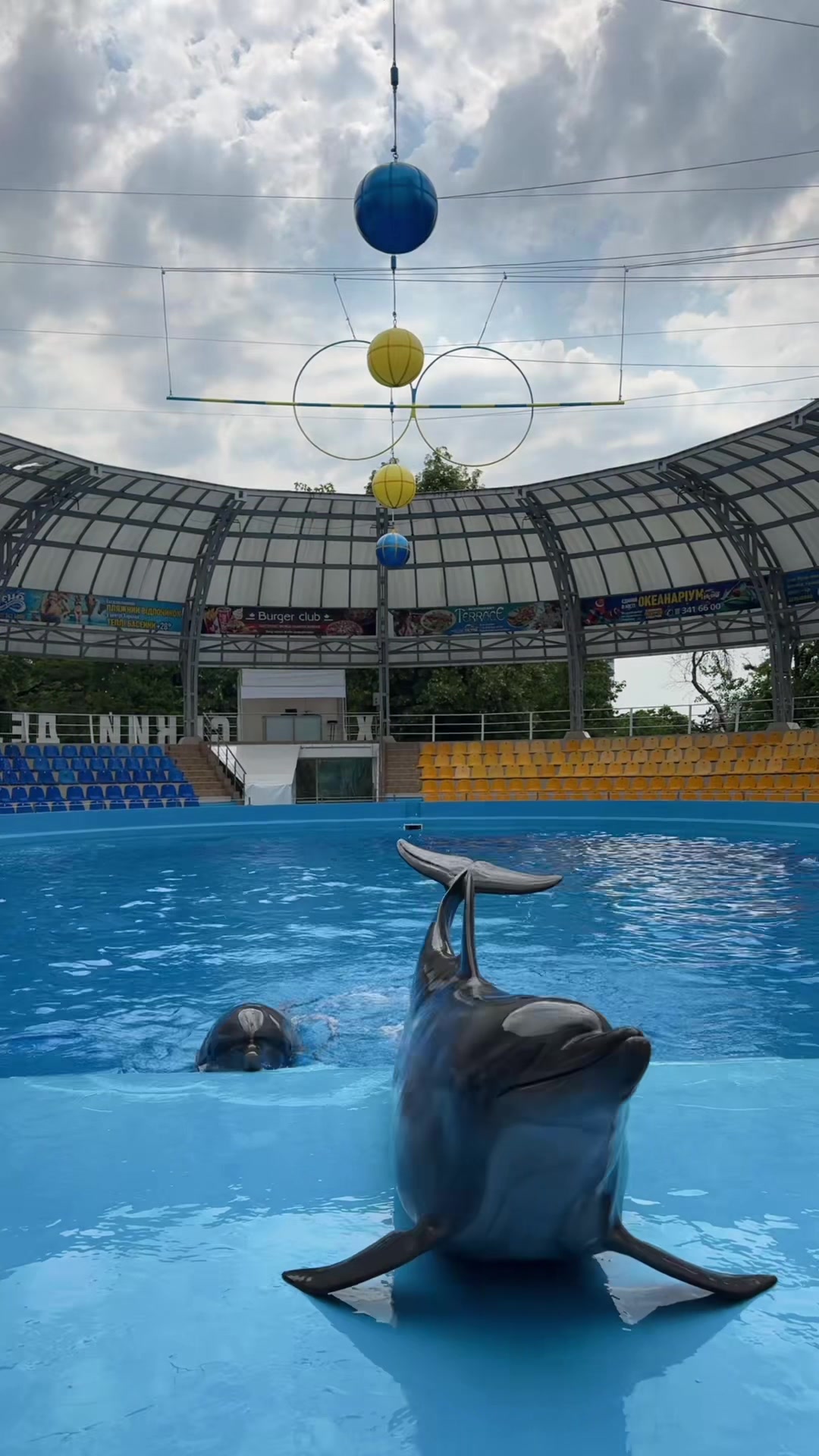 @Варикозник