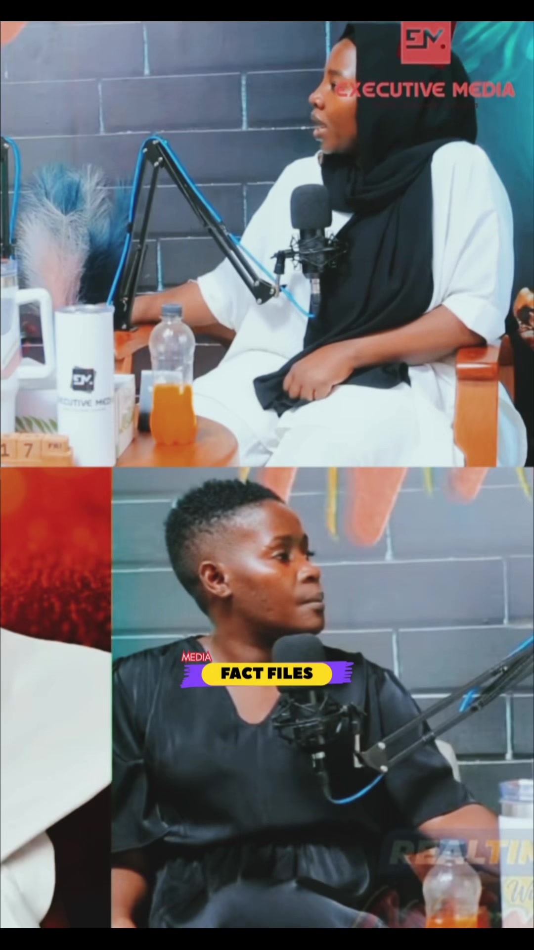@FactFilesMedia
