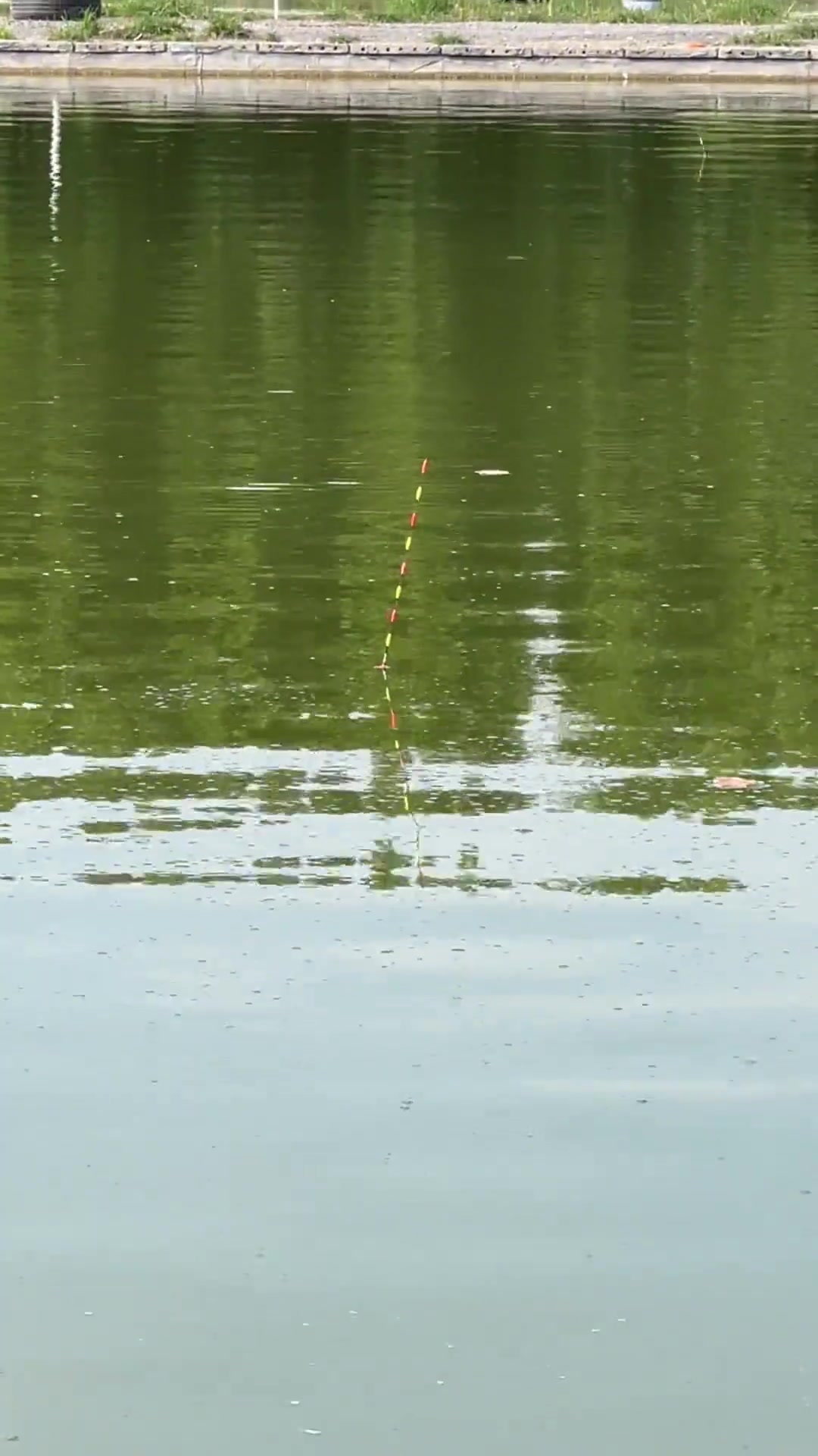 @Tụt l&agrave; vụt 🎣