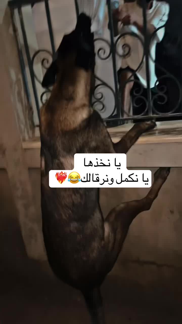 @JALAL🇱🇾❤️&zwj;🔥