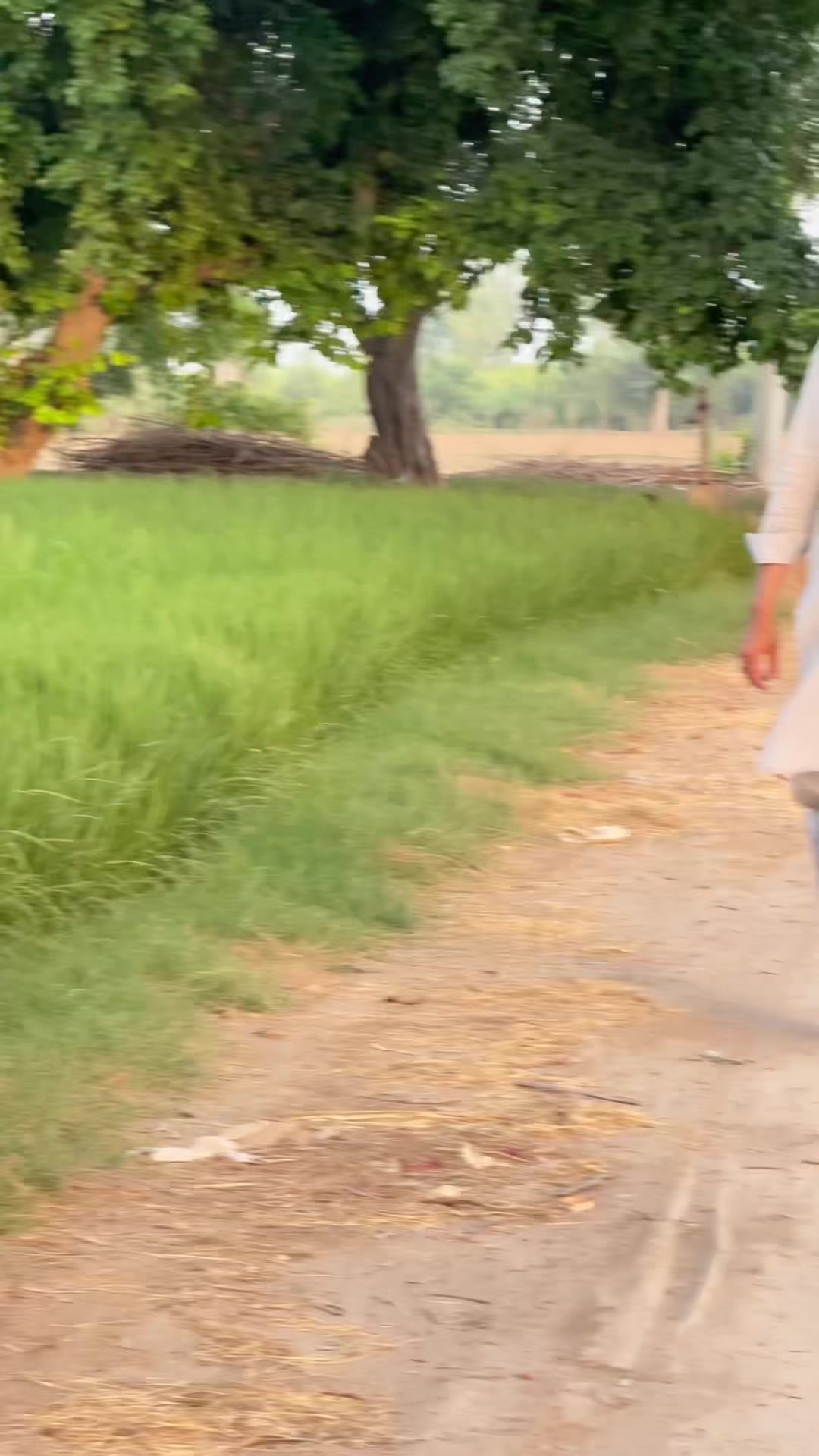 @M.HaSSaN 🇵🇰