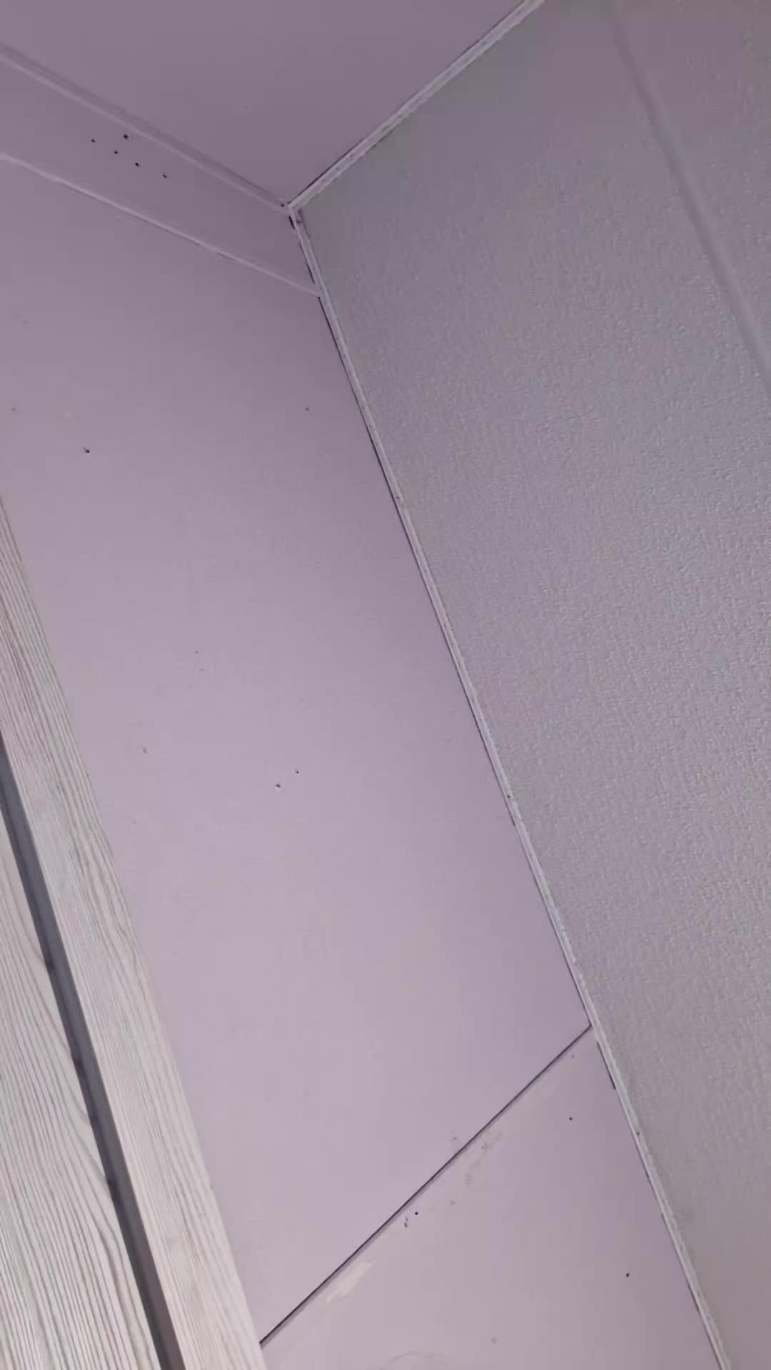 @hi