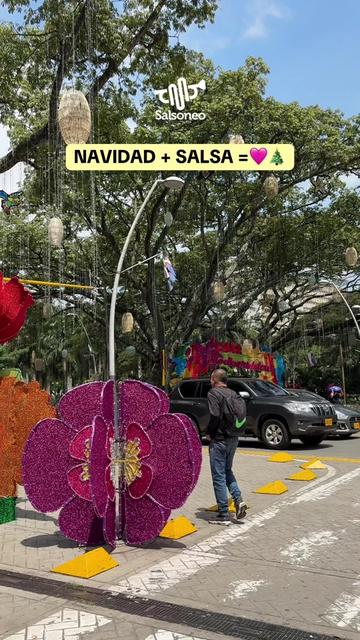 @SalsoneoTV