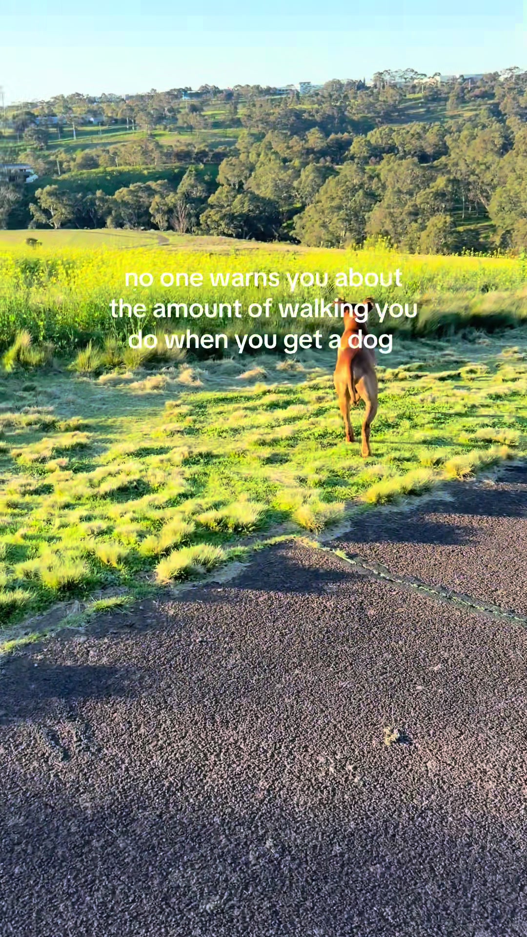 @runningwithrover