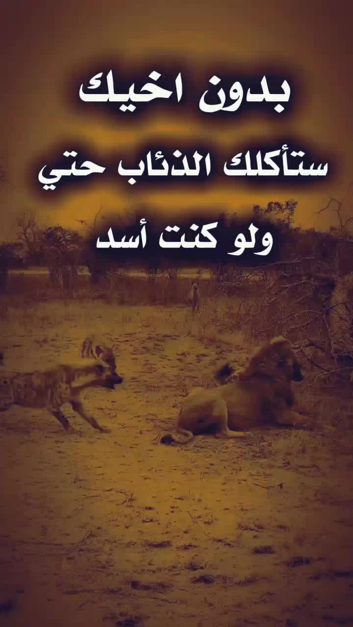 @👑🦅مہشہآكہس لعہيہؤنہكہ🦅👑