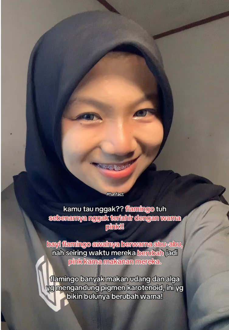 @inimellow_