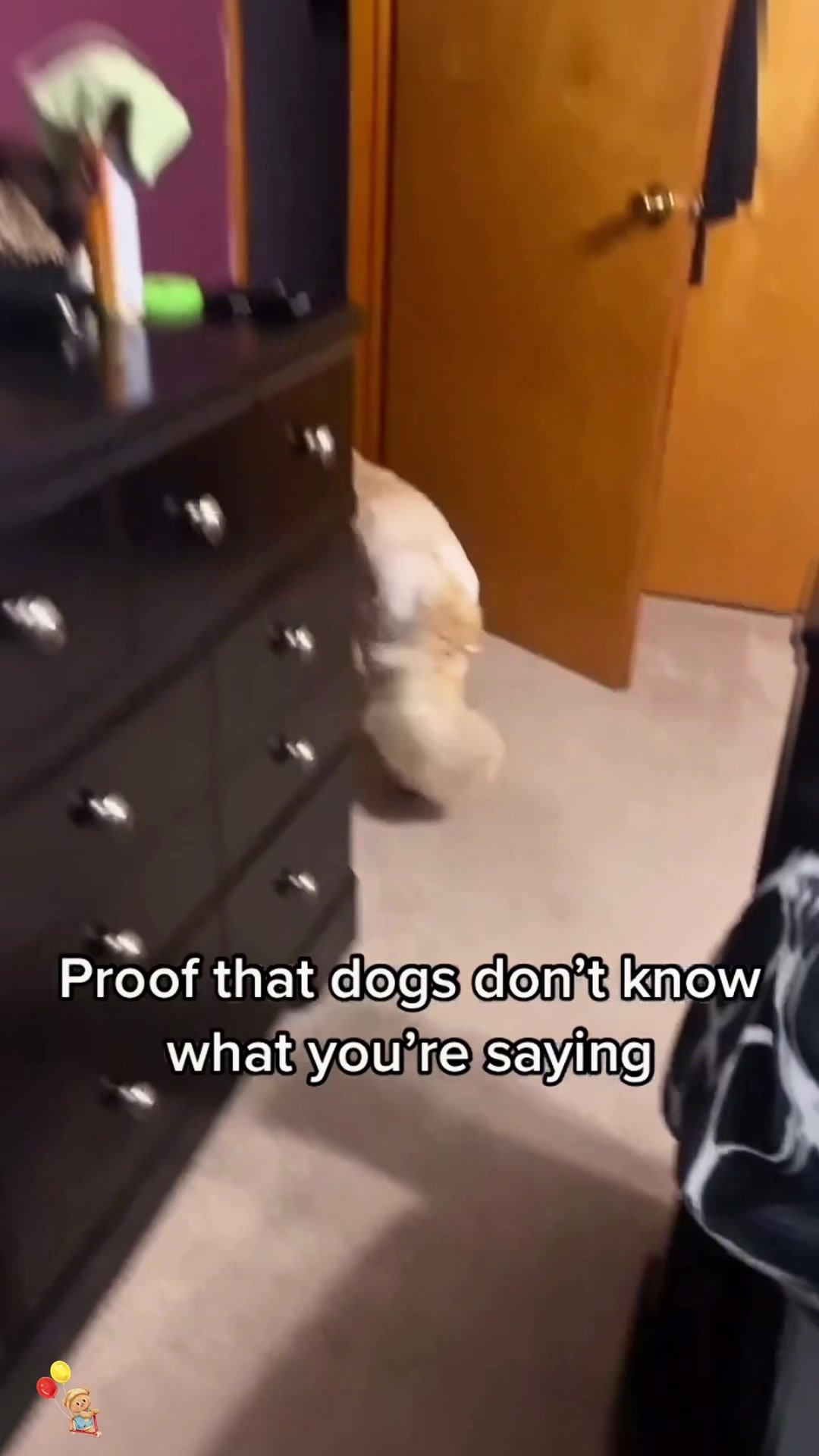 @SneakyFails