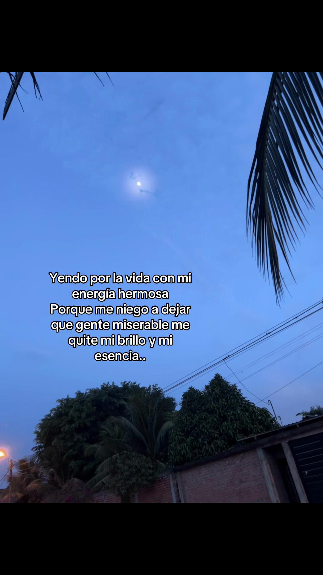 @lisvasquez