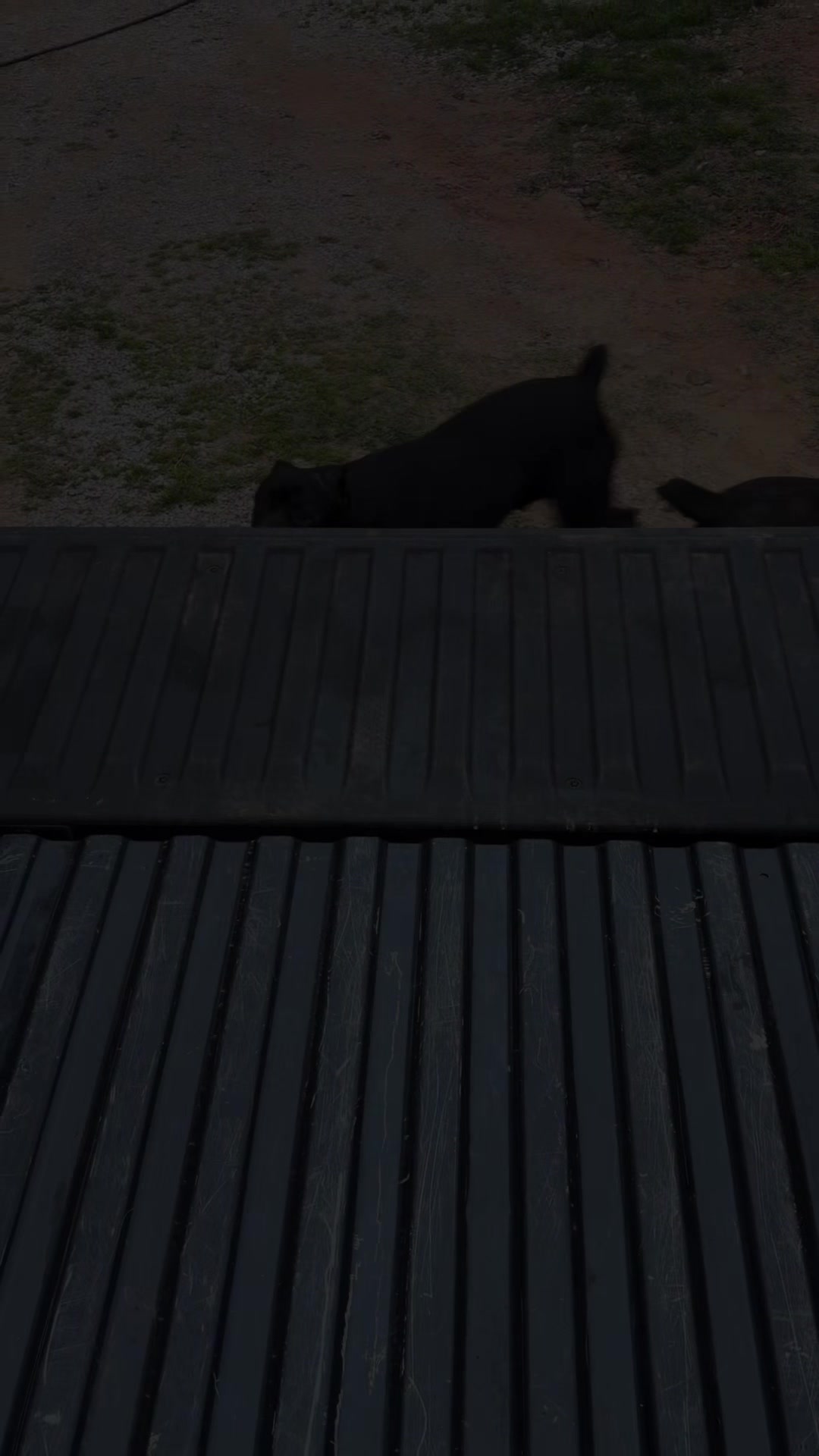 @Dogmansshadow