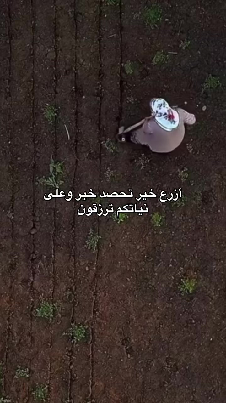 @كَـيـَانْ |١٤٢٥هَـ 🇱🇾📚.