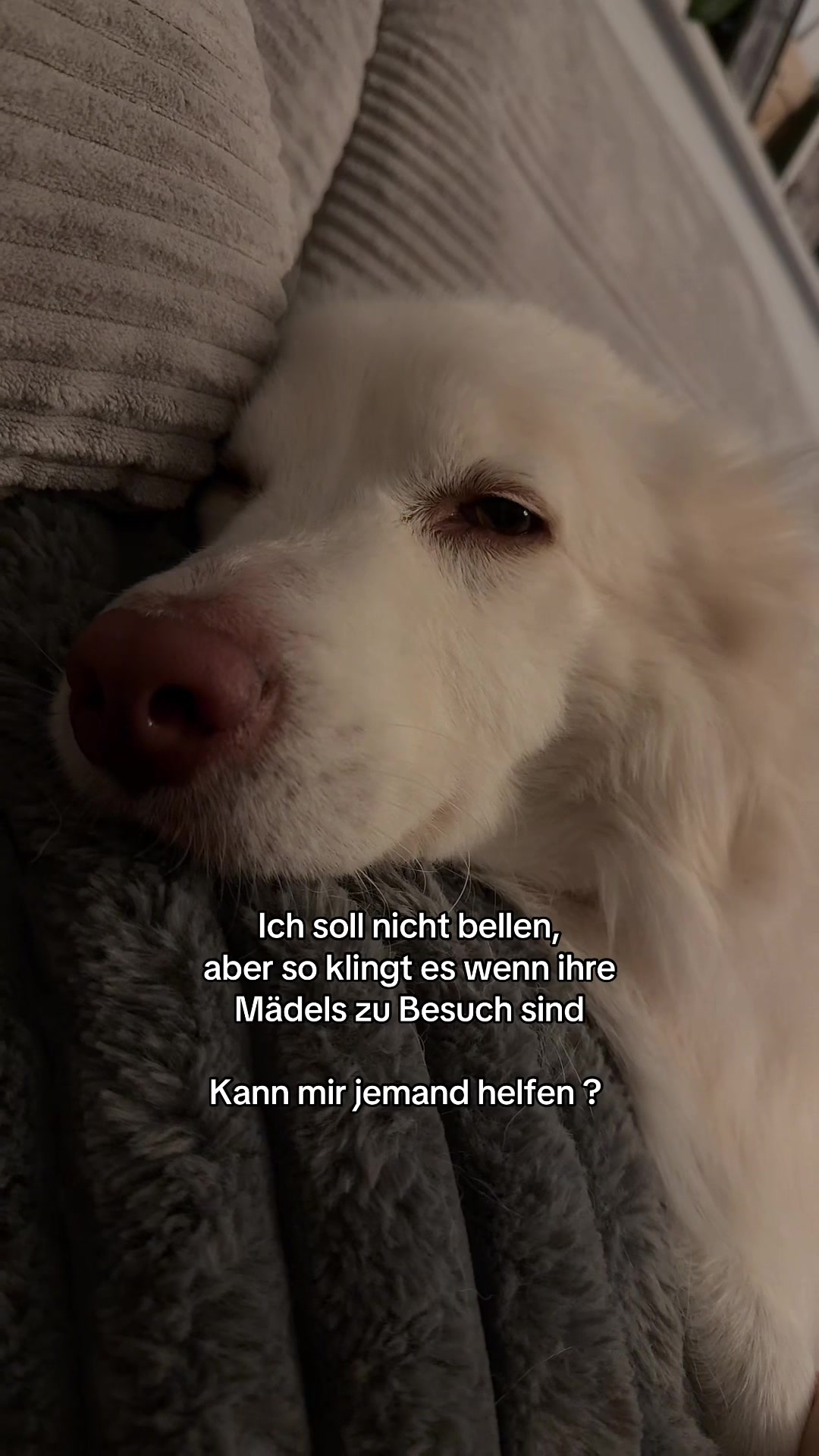 @🧚&zwj;♀️fraulein_flausenimkopf✨