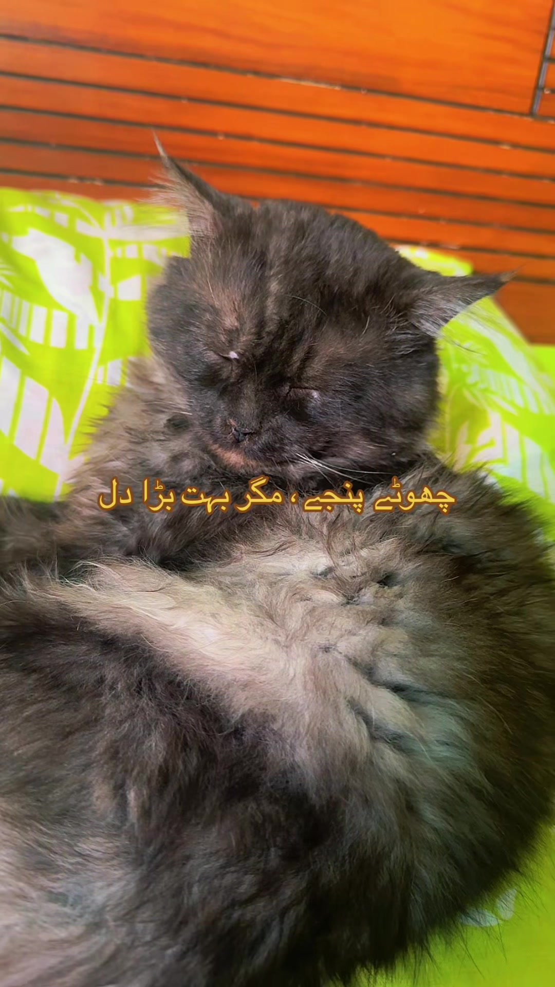 @Al-Qaim skin care and Rehab