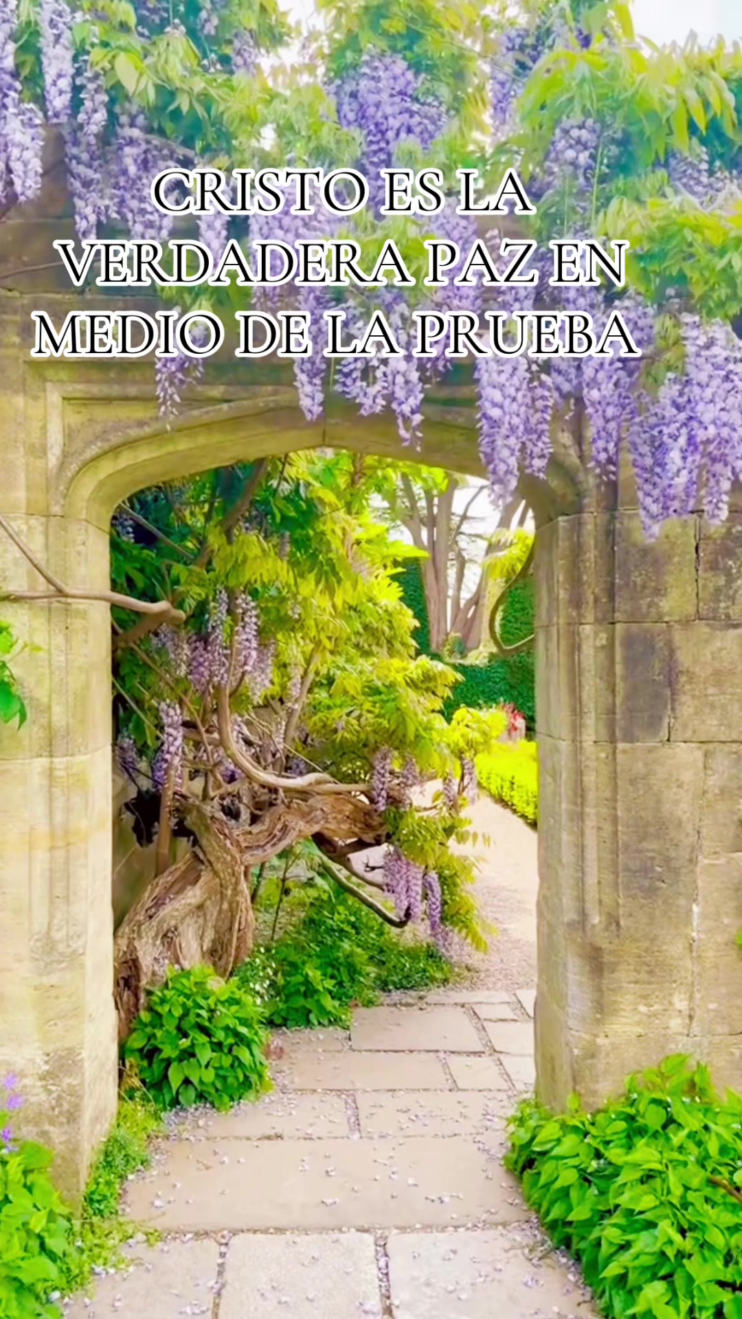 @Adelsomusicacristiana