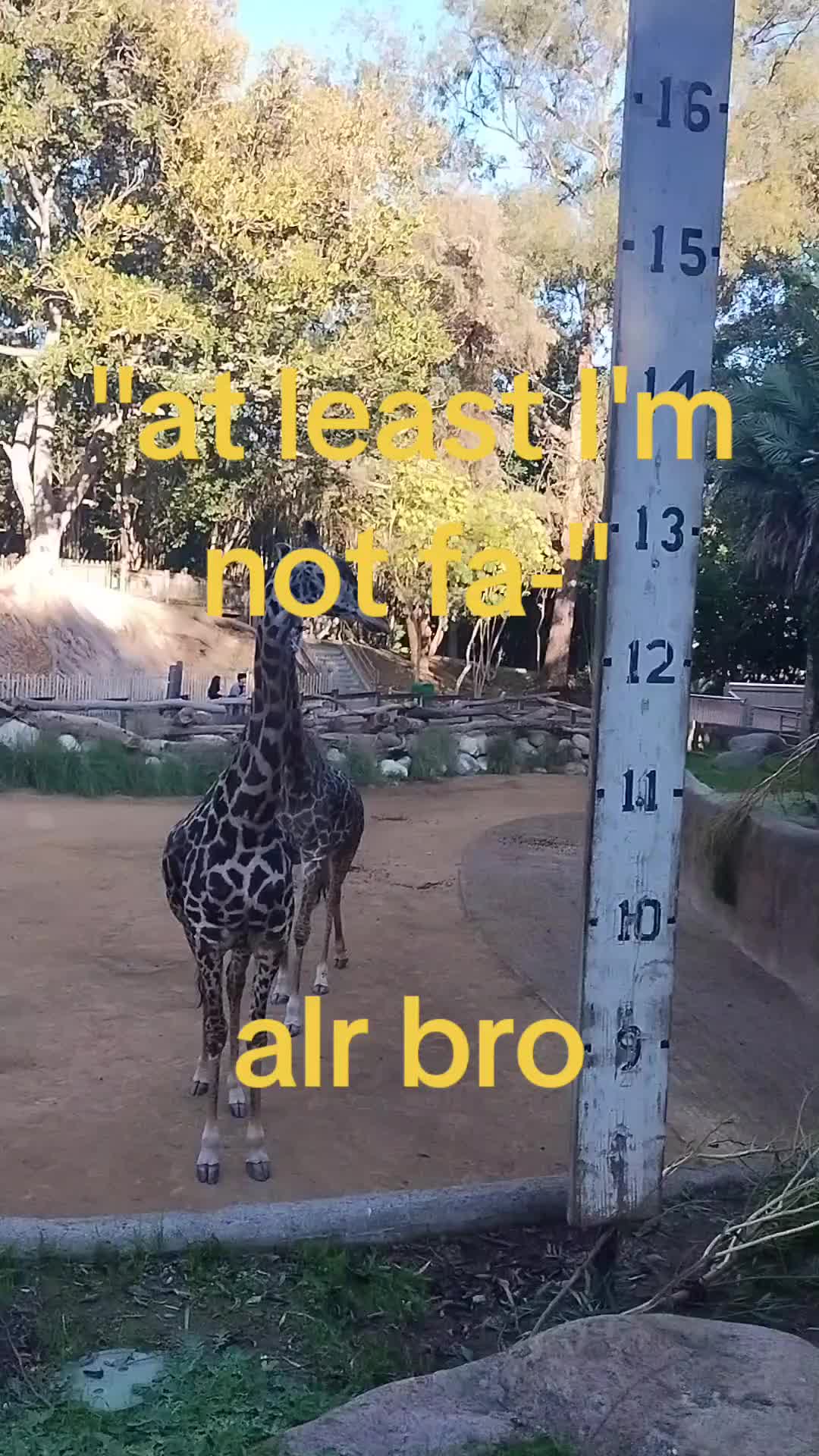 @🦓🐘.