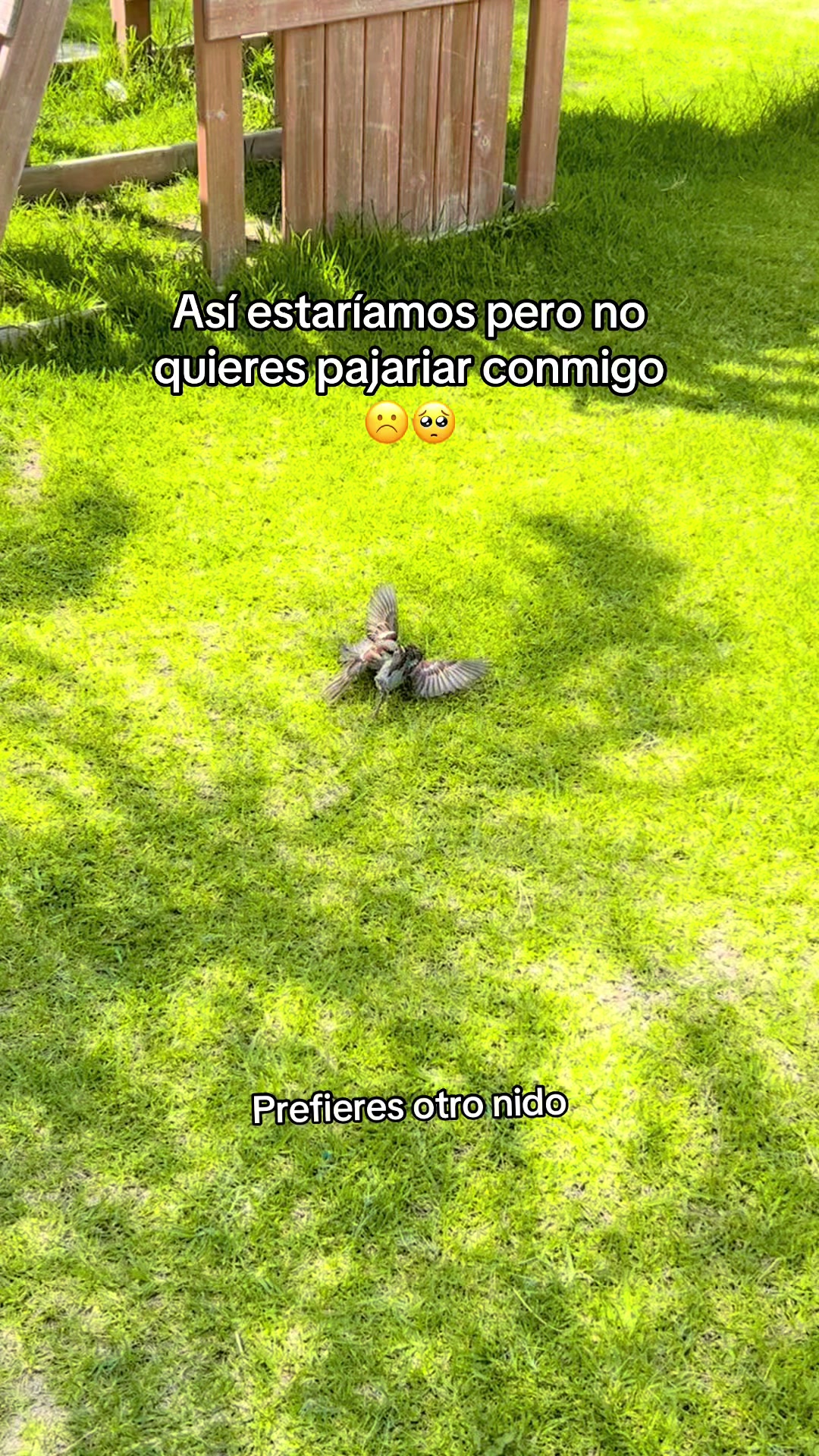 @holasoy.vero