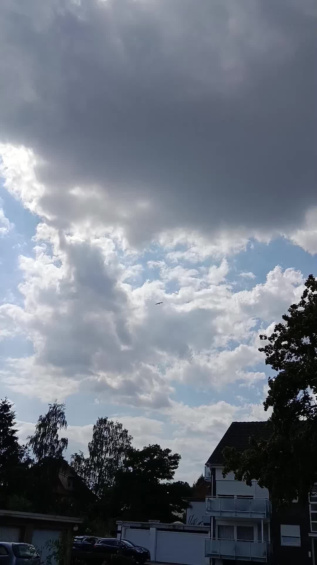 @44OLA4