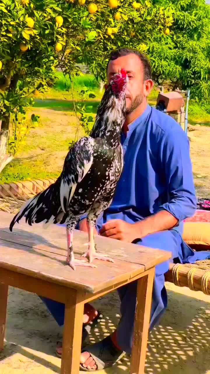 @Mr_Ak💗🤟