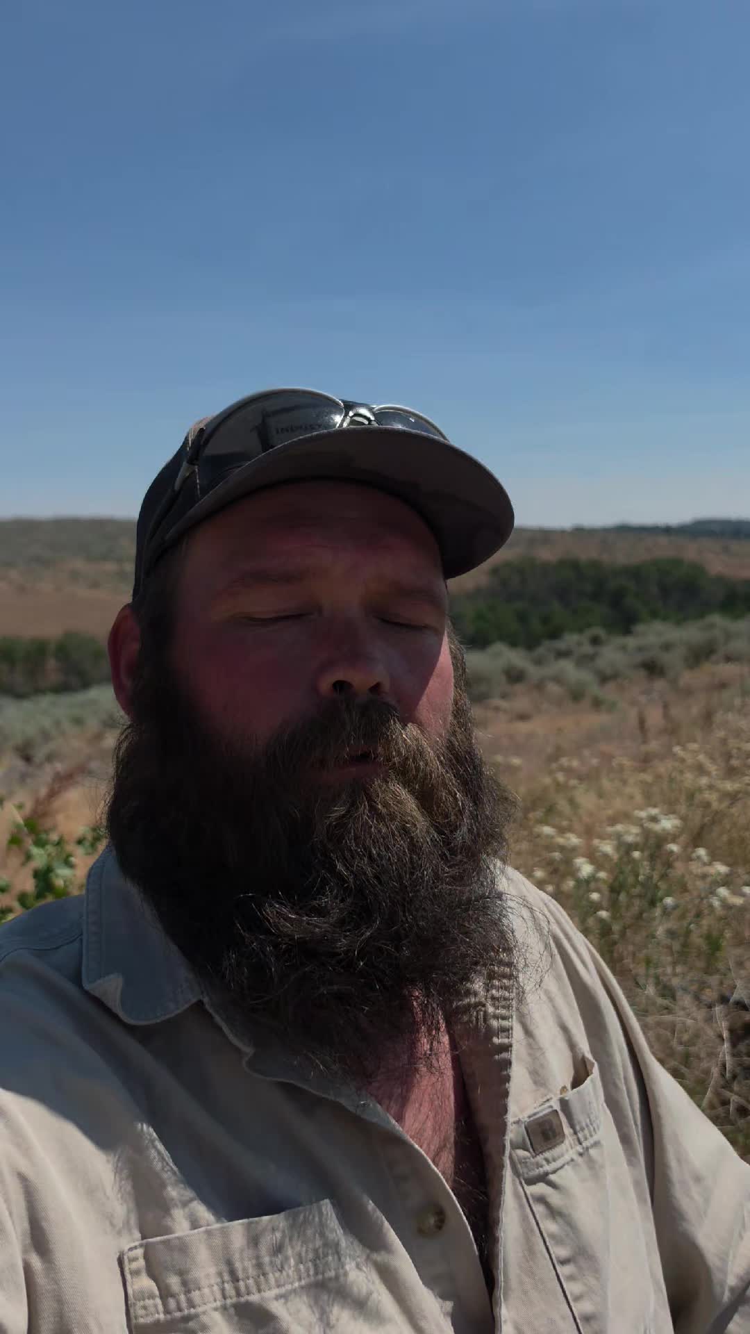 @thebeardedfamily1