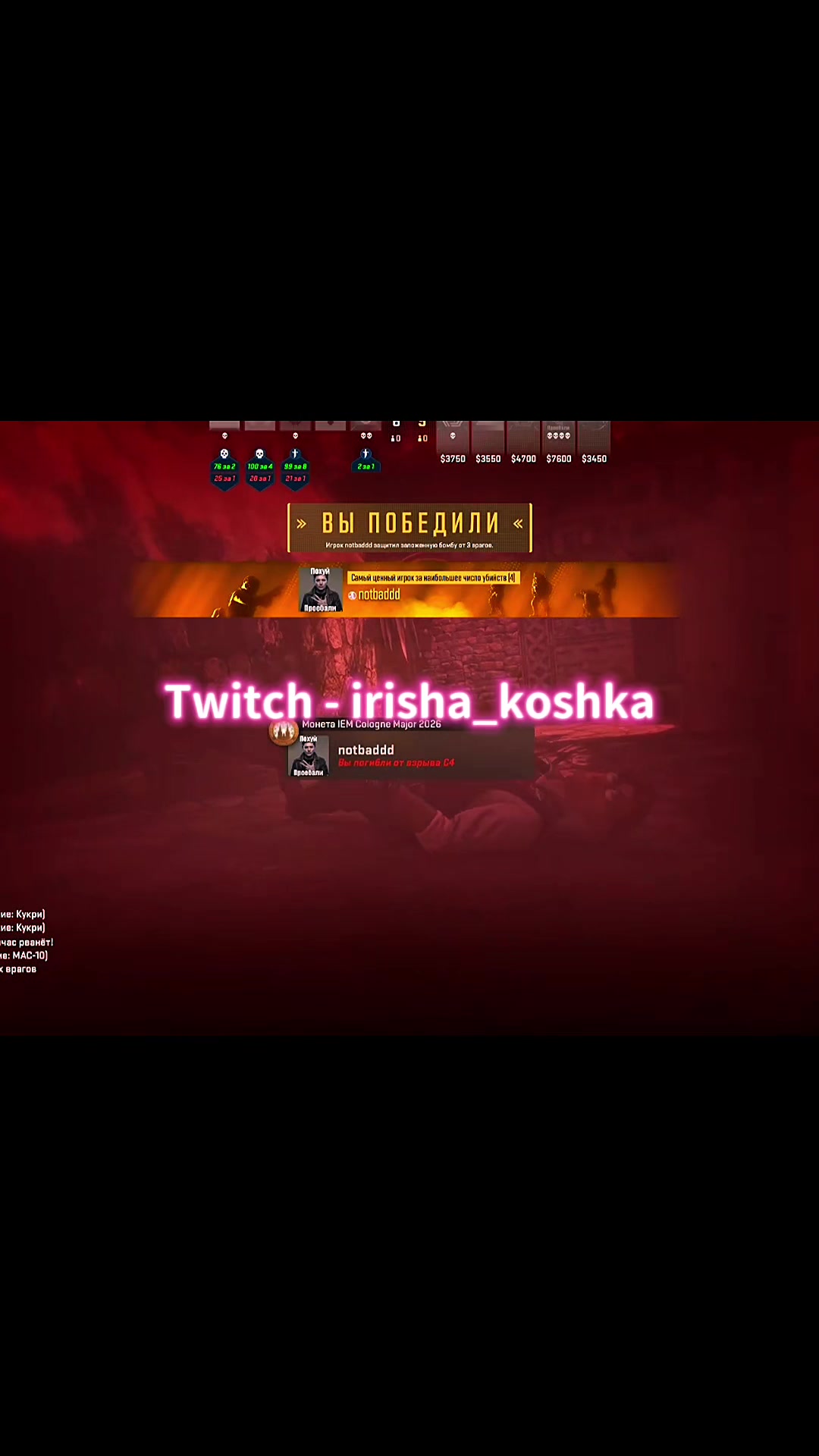 @Twitch - irisha_koshka